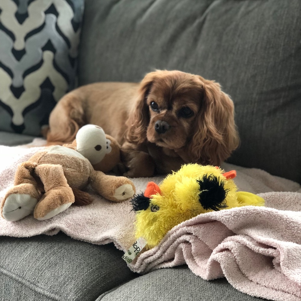 Meet your Posher, Nicole